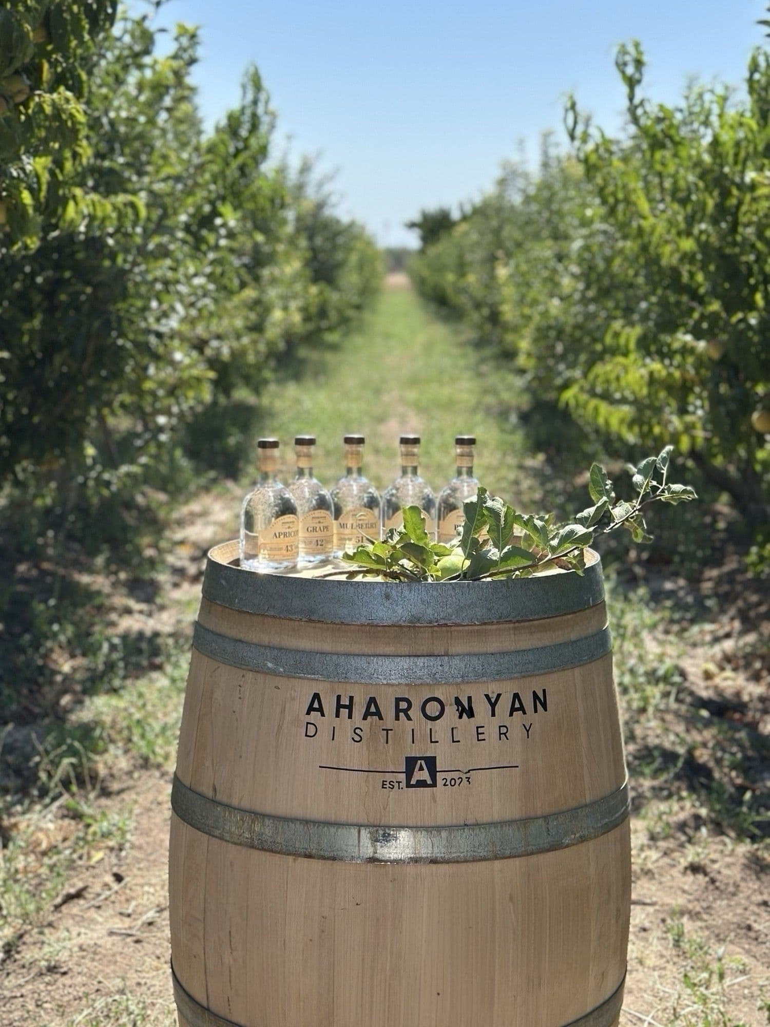 Медный аламбик Aharonyan Distillery